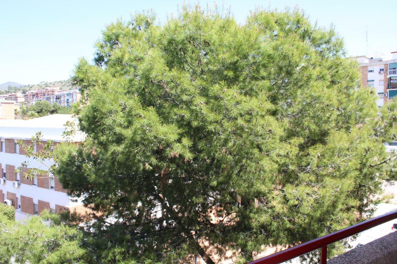 Apartamento Con Parking Gratuito Málaga Extérieur photo